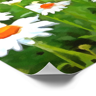 Póster Daisitas de los Jardínes Blancos Brillantes y Colo