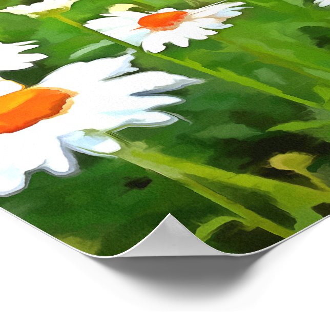Póster Daisitas de los Jardínes Blancos Brillantes y Colo (Esquina)