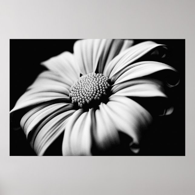 Póster Daisy (Frente)