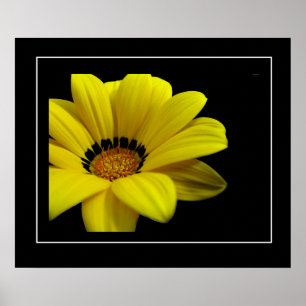 Póster Daisy amarillo poster