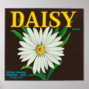 Póster Daisy Brand Citrus Crate Label