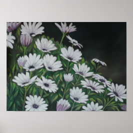 Póster Daisy Chrysanthemum Art Print