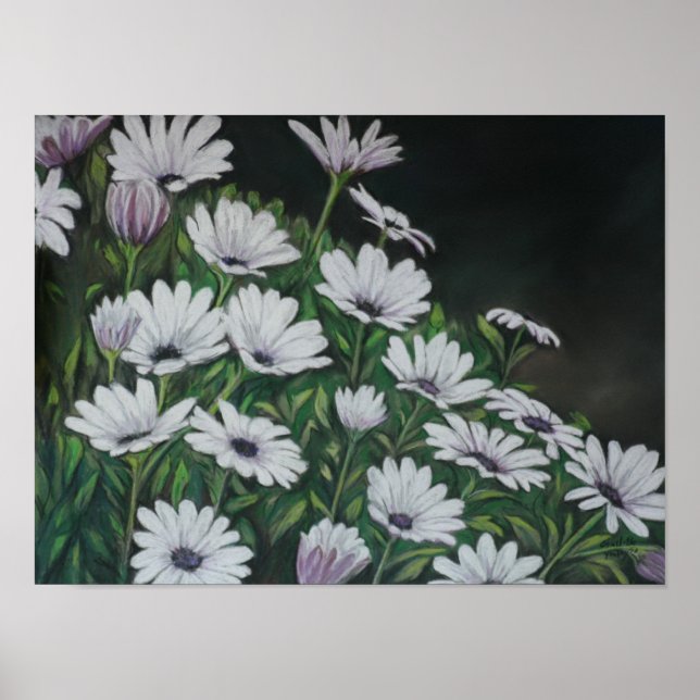 Póster Daisy Chrysanthemum Art Print (Frente)