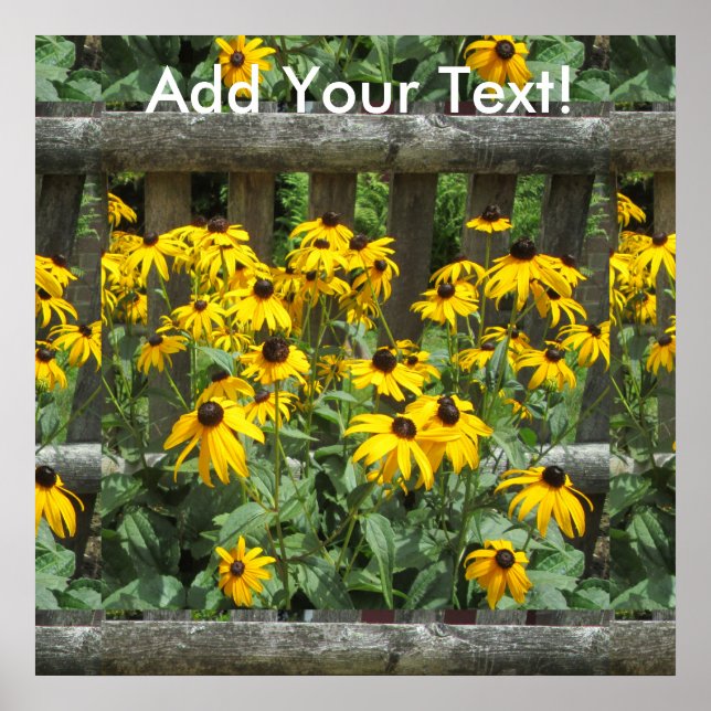 Póster Daisy Cluster Weathered Fence (Frente)