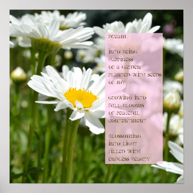 Póster Daisy Dream Poem Poster (Frente)