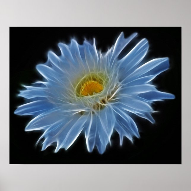 Póster Daisy Flower (Frente)