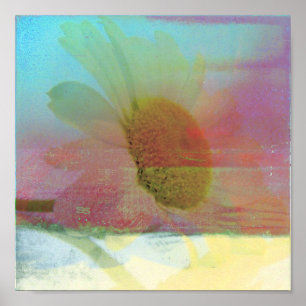 Póster Daisy Glitch