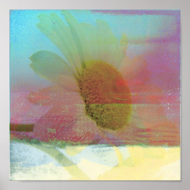 Póster Daisy Glitch (Frente)