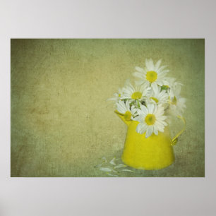 Póster Daisy Petals