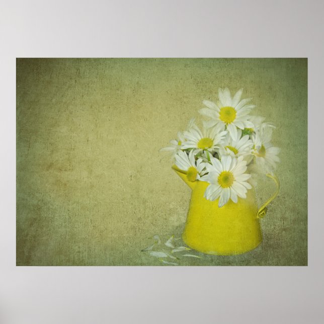 Póster Daisy Petals (Frente)