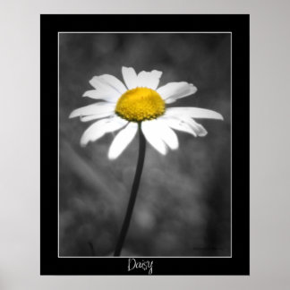 Póster Daisy Poster