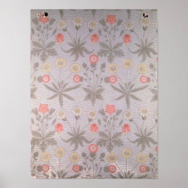 Póster Daisy' wallpaper design (Frente)