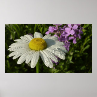 Póster Daisy y Lila Botánico de Verano