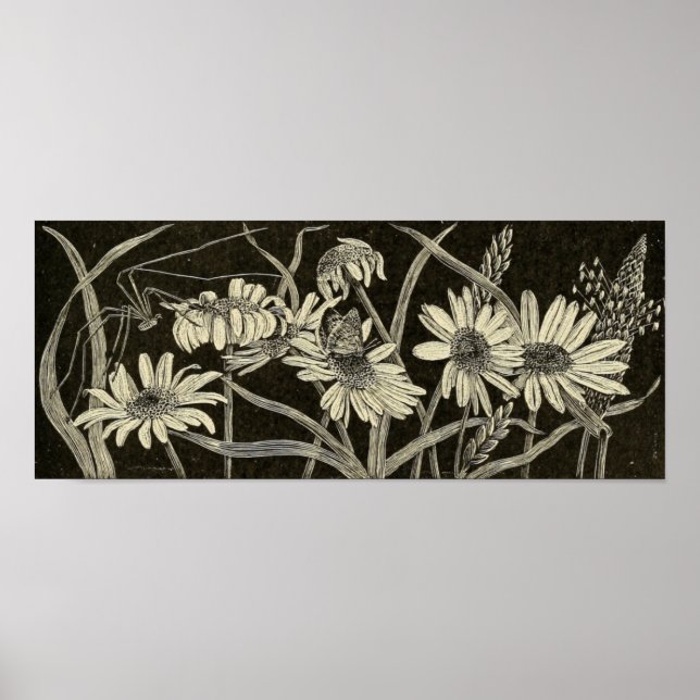 Póster Daisy's (Frente)