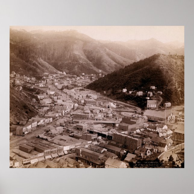 PÓSTER DAKOTA DEL SUR 1888 - Nº 4 (Frente)