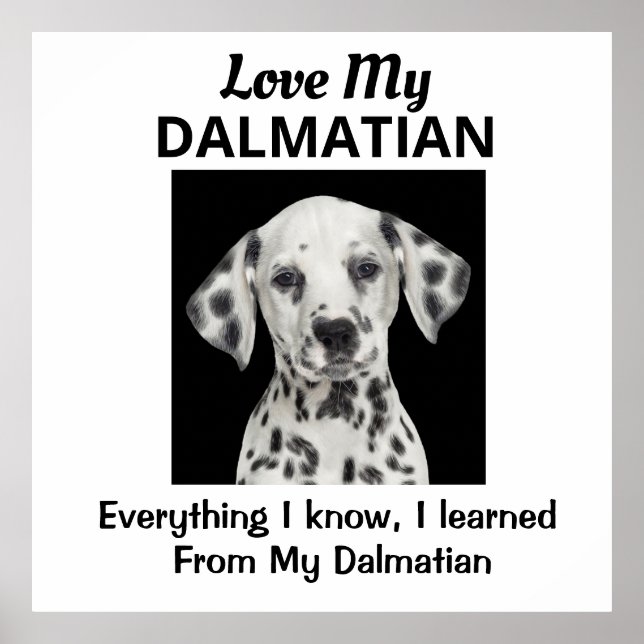 Póster Dalmatian Custom Poster (Frente)