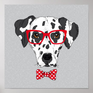 Póster Dalmatian de moda