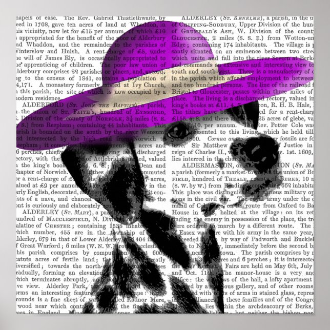 Póster Dalmatiano con Gorra De Brigada Grande Morada (Frente)
