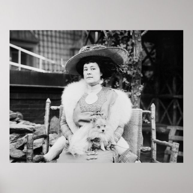 Póster Dama Pomerania, principios del siglo XX (Frente)