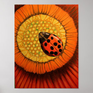 Póster Dama Roja Bug En Una Zinnia