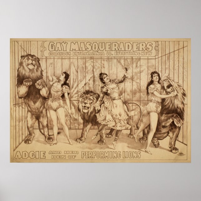 Póster Damas con LIONS Act VAUDEVILLE Poster (Frente)