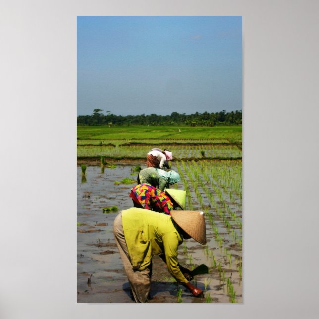 Póster Damas de trabajo (Frente)