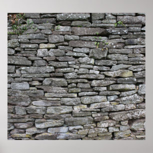 Póster Damasco barroco: Patrón floral de lujo