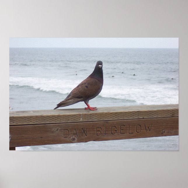 Póster Dan Bigelow (Frente)