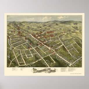 Póster Danbury, CT Panoramic Map - 1875