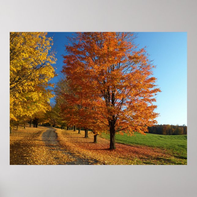 Póster Danby Vermont Autumn deja Poster (Frente)