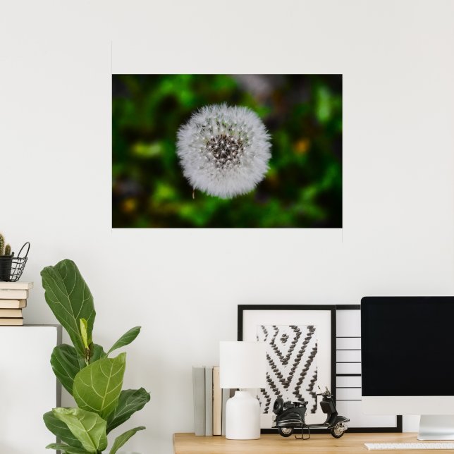 Póster Dandelion, (Oficina en casa)