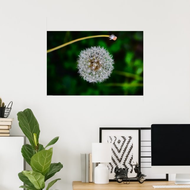 Póster Dandelion, (Oficina en casa)