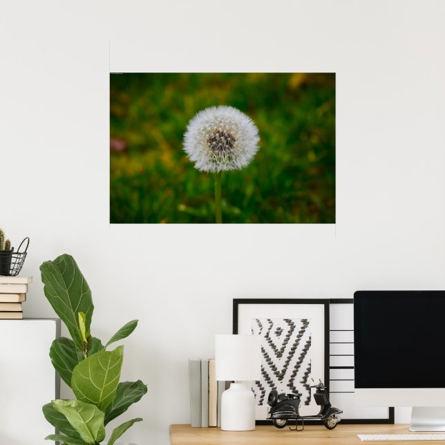 Póster Dandelion, (Oficina en casa)