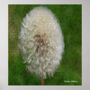 Póster Dandelion Ballerina by Celeste Sheffey Poster