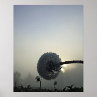Póster Dandelion Dawn