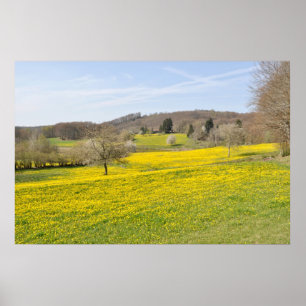 Póster Dandelion fields