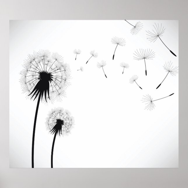 Póster Dandelion Flower (Frente)