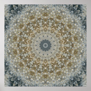 Póster Dandelion Mosaic Nov 2012