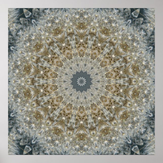 Póster Dandelion Mosaic Nov 2012 (Frente)
