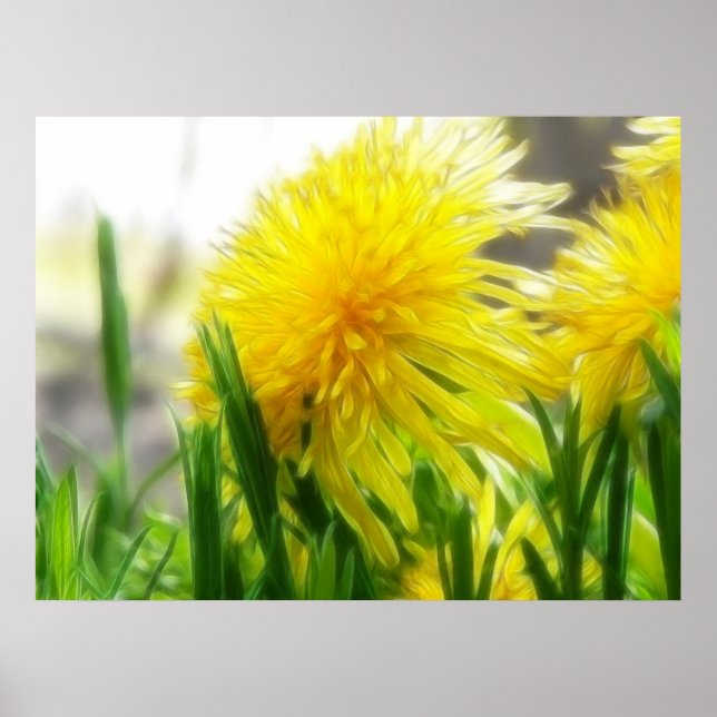 Póster Dandelion Portrait (Frente)