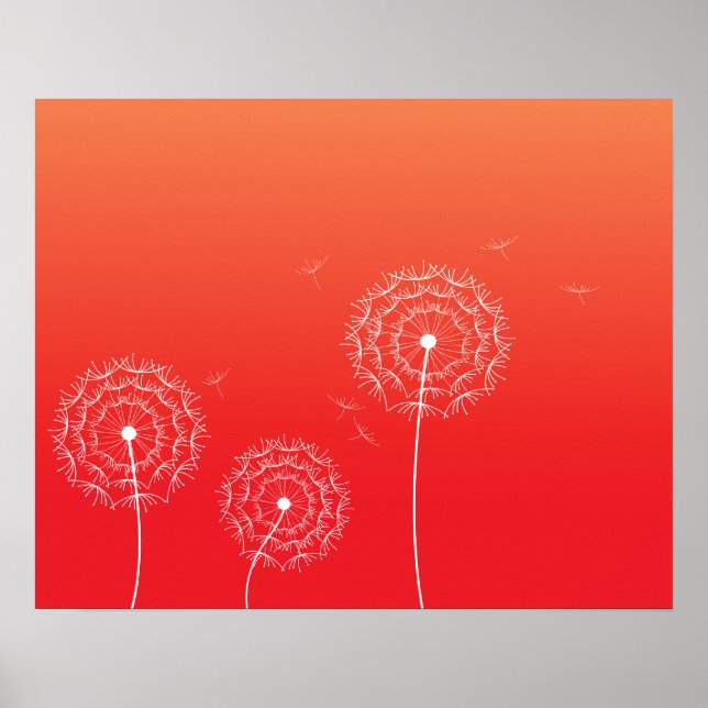 Póster Dandelion Red Sunset en primavera (Frente)