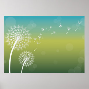Póster Dandelion Wind Flower