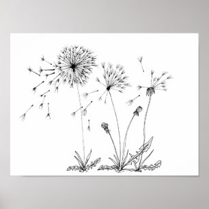 Póster Dandelions