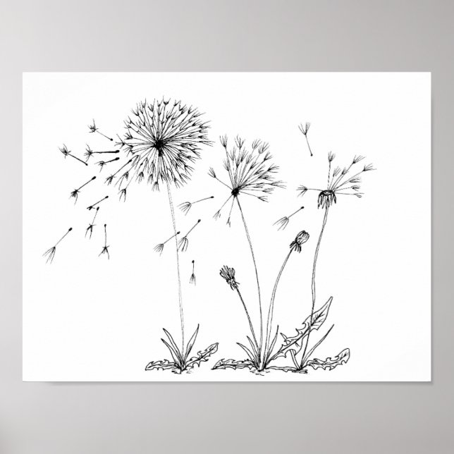 Póster Dandelions (Frente)