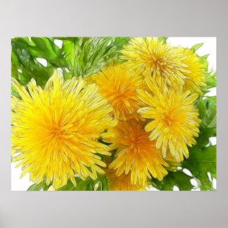 Póster ¡Dandelions!