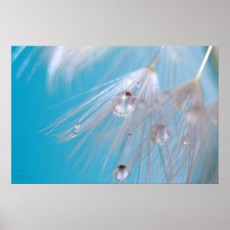 Póster Dandelions mágicos