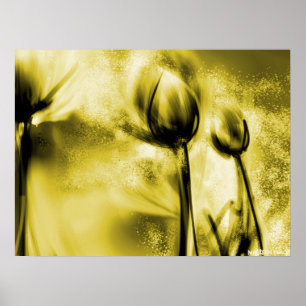 Póster Dandelions retroiluminados en Poster antiguo