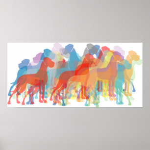 Póster Daneses de colores