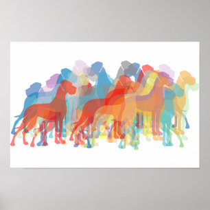 Póster Daneses de colores