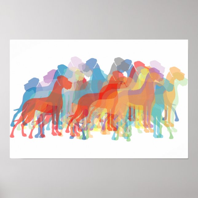 Póster Daneses de colores (Frente)
